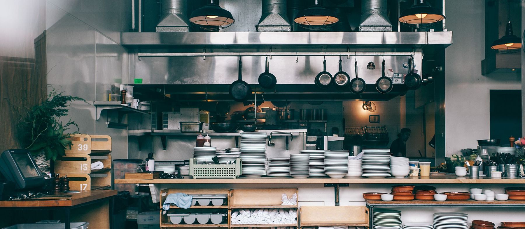 Cafards en restaurant et commerce alimentaire